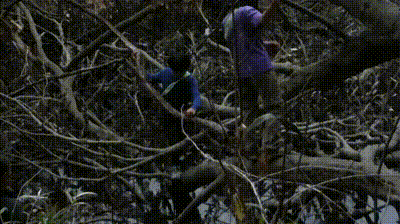 DSCF3714-セグメント 1