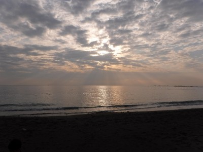 DSCF3781