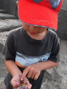 DSCF9856