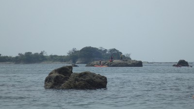 RIMG1184