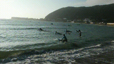 DSCF3216-セグメント 1