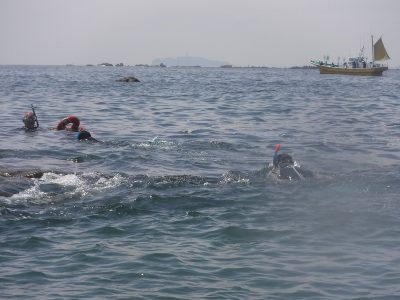 DSCF3679