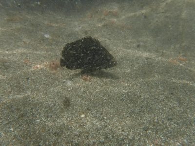 DSCF4086