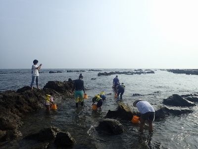P7120204