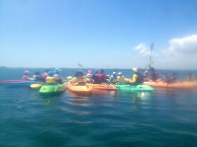 __ 1b