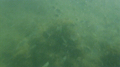 DSCF5018