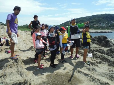 DSCF6549