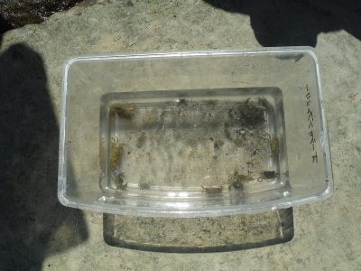 DSCF6562