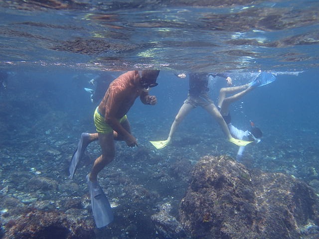 P8180079