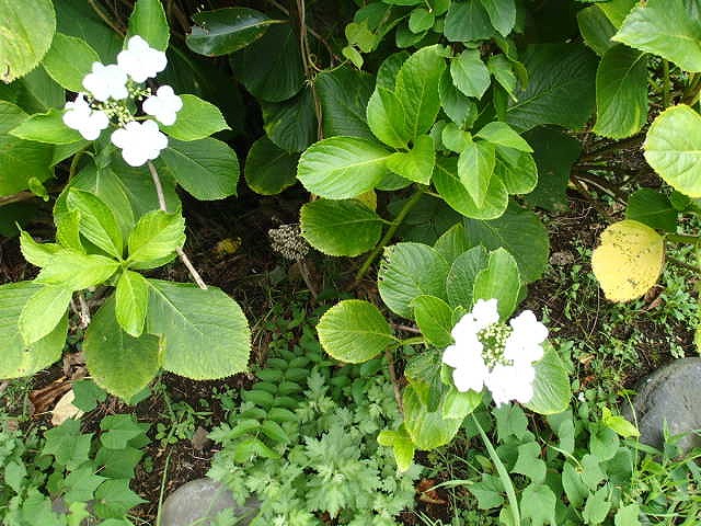 P8200221