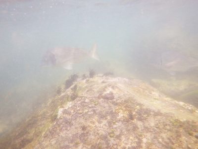 RIMG5546