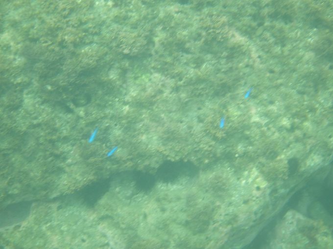 RIMG6329