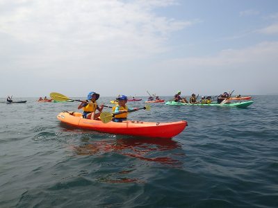 RIMG6751
