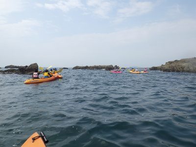 RIMG6753
