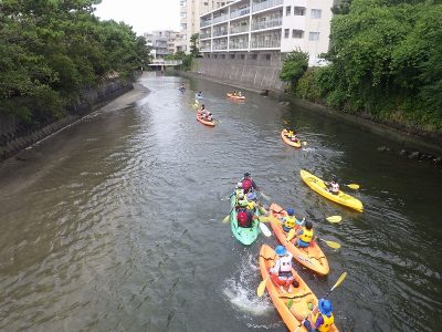 RIMG6786