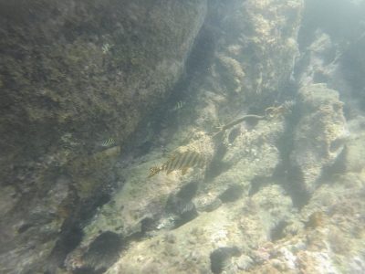 dscf0821