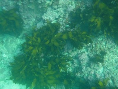 dscf0886
