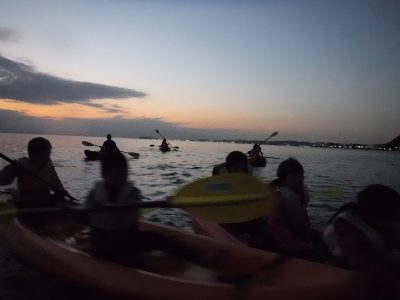 dscf7881
