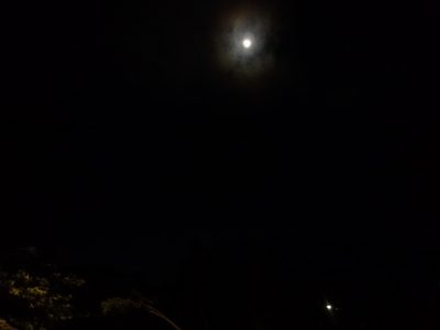dscf4419